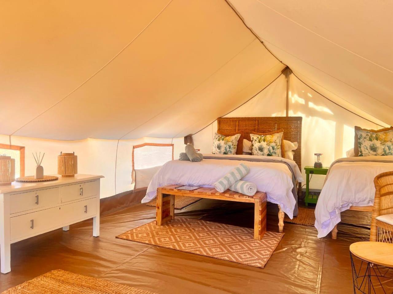 Leopard Valley Eco Retreat 시트러스달 객실 사진
