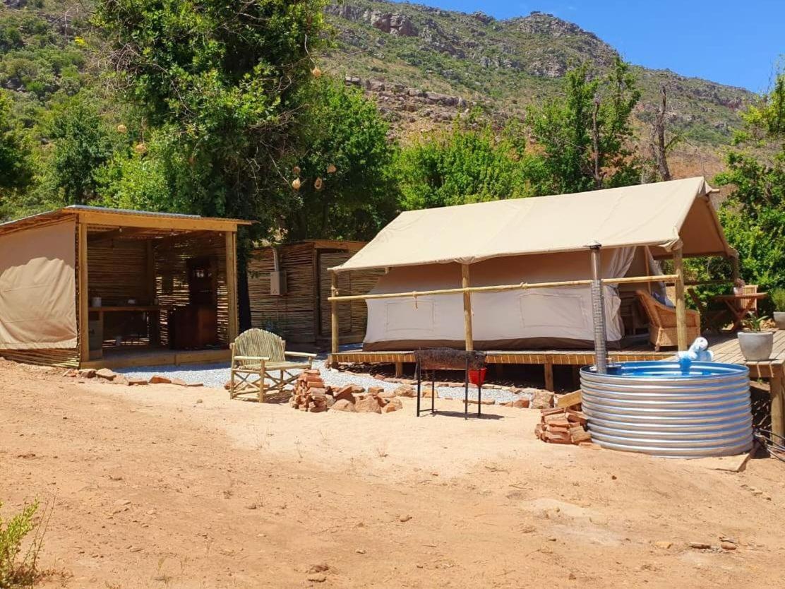 Leopard Valley Eco Retreat 시트러스달 객실 사진