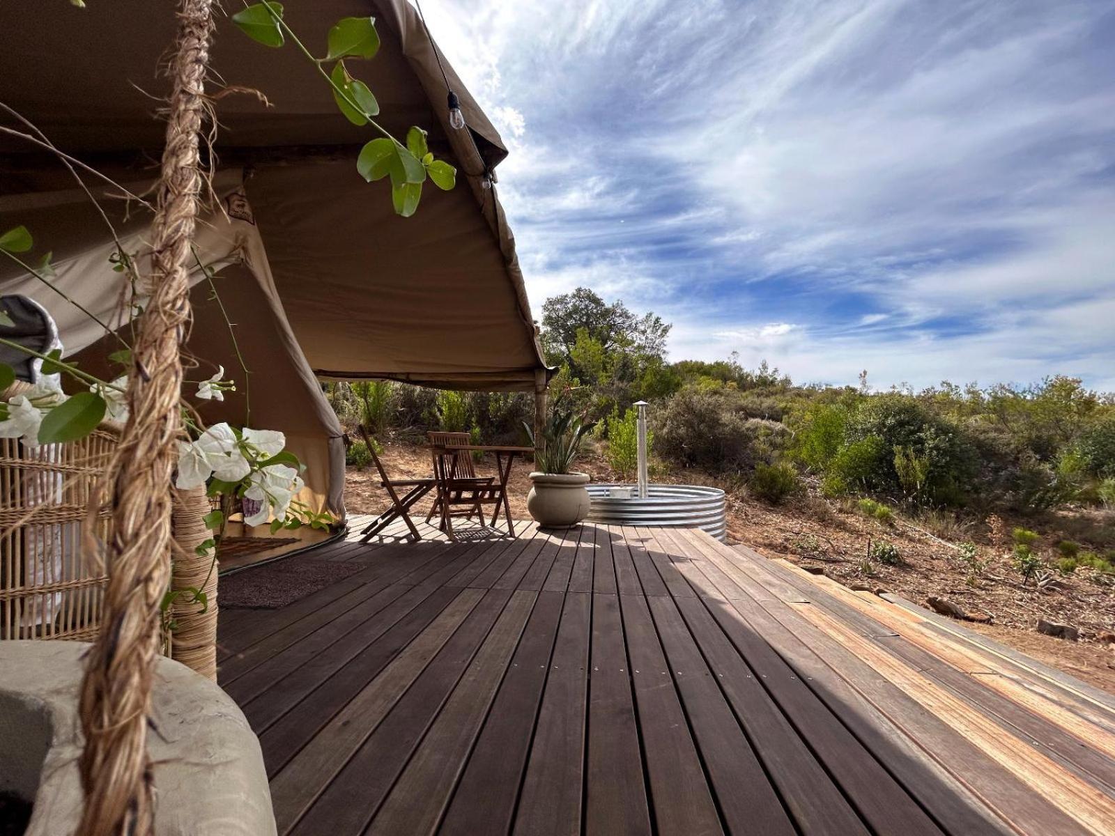 Leopard Valley Eco Retreat 시트러스달 객실 사진