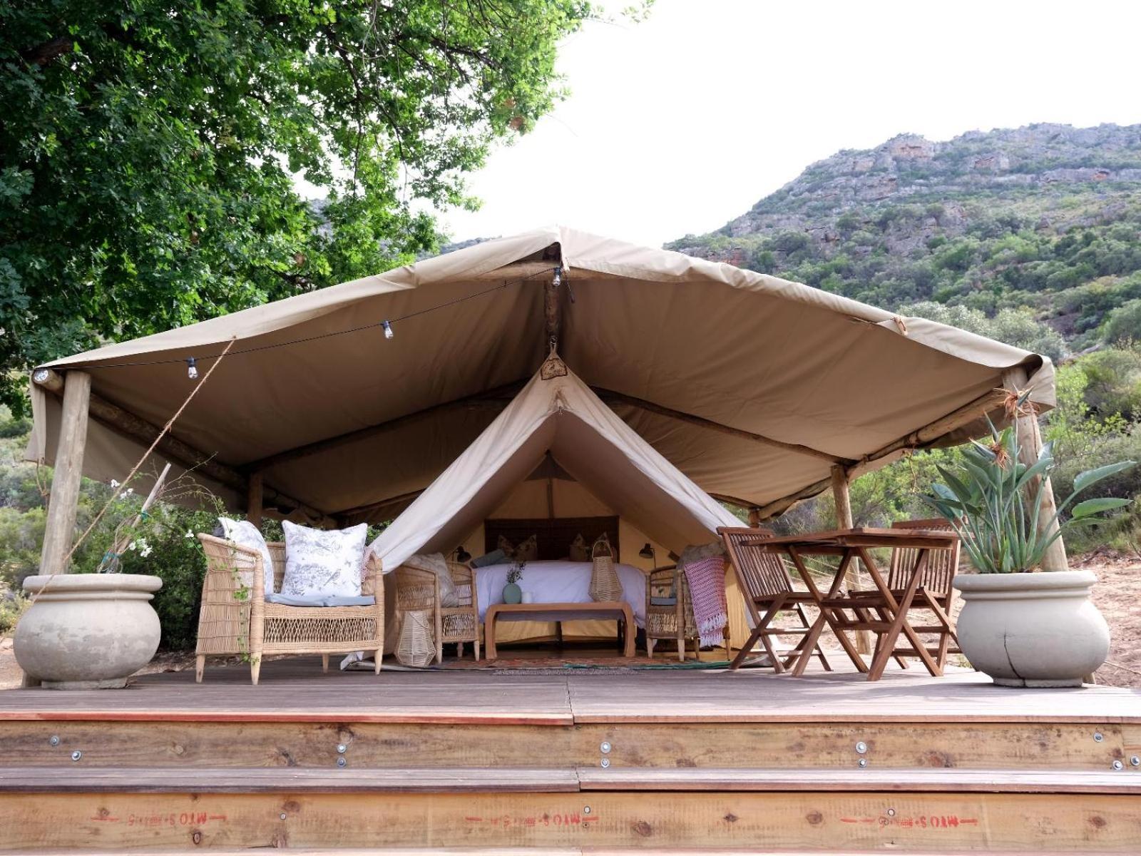 Leopard Valley Eco Retreat 시트러스달 객실 사진