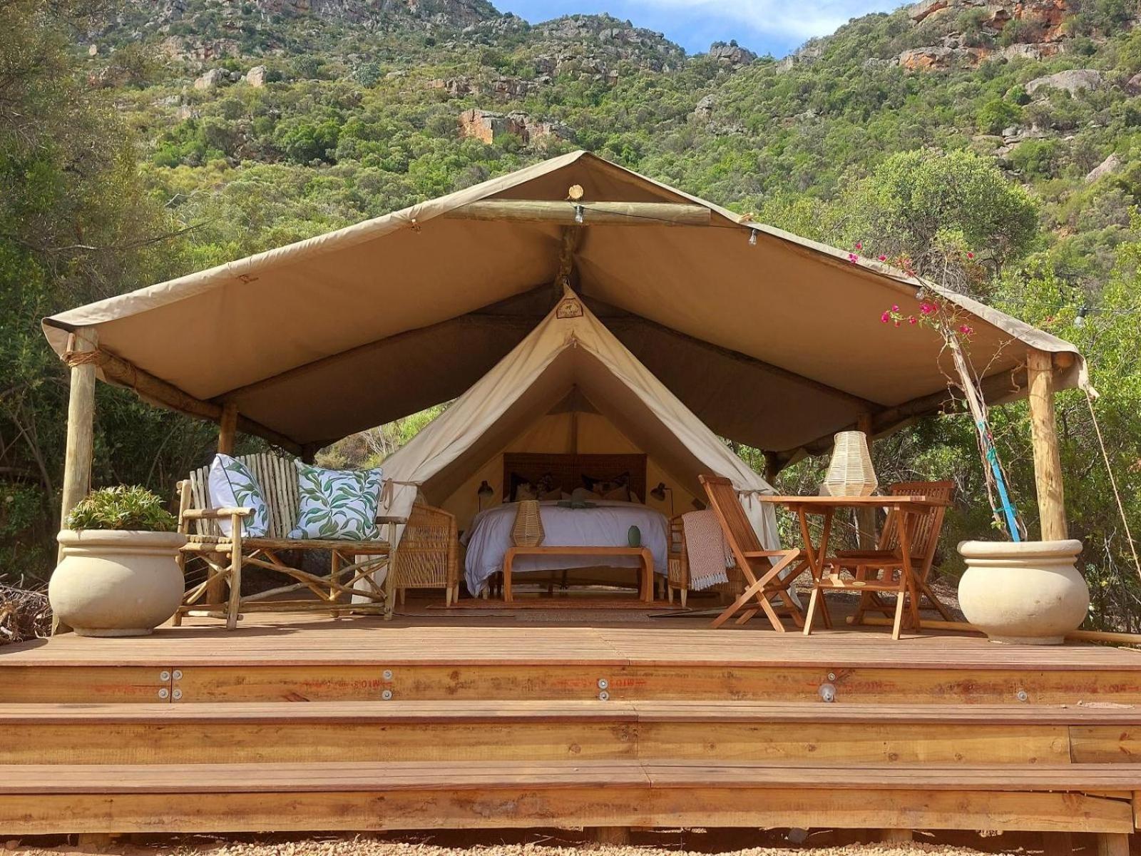 Leopard Valley Eco Retreat 시트러스달 객실 사진