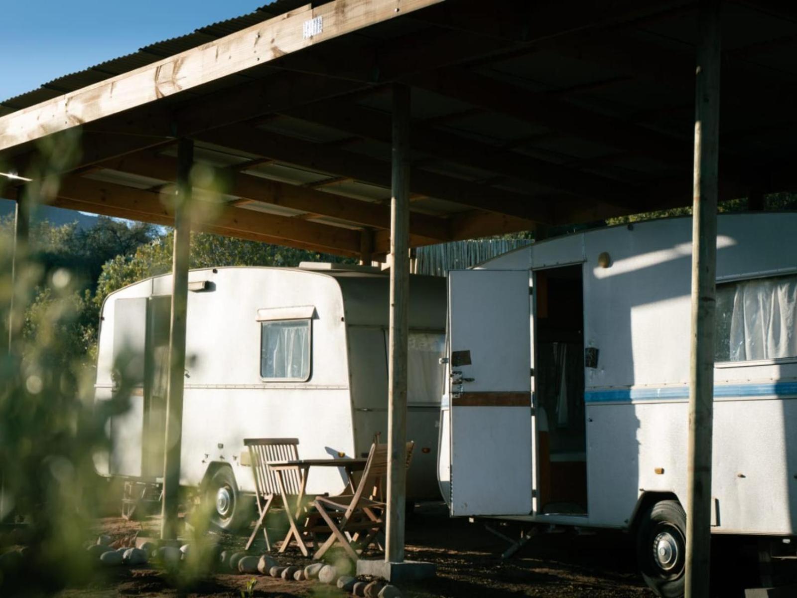 Leopard Valley Eco Retreat 시트러스달 객실 사진