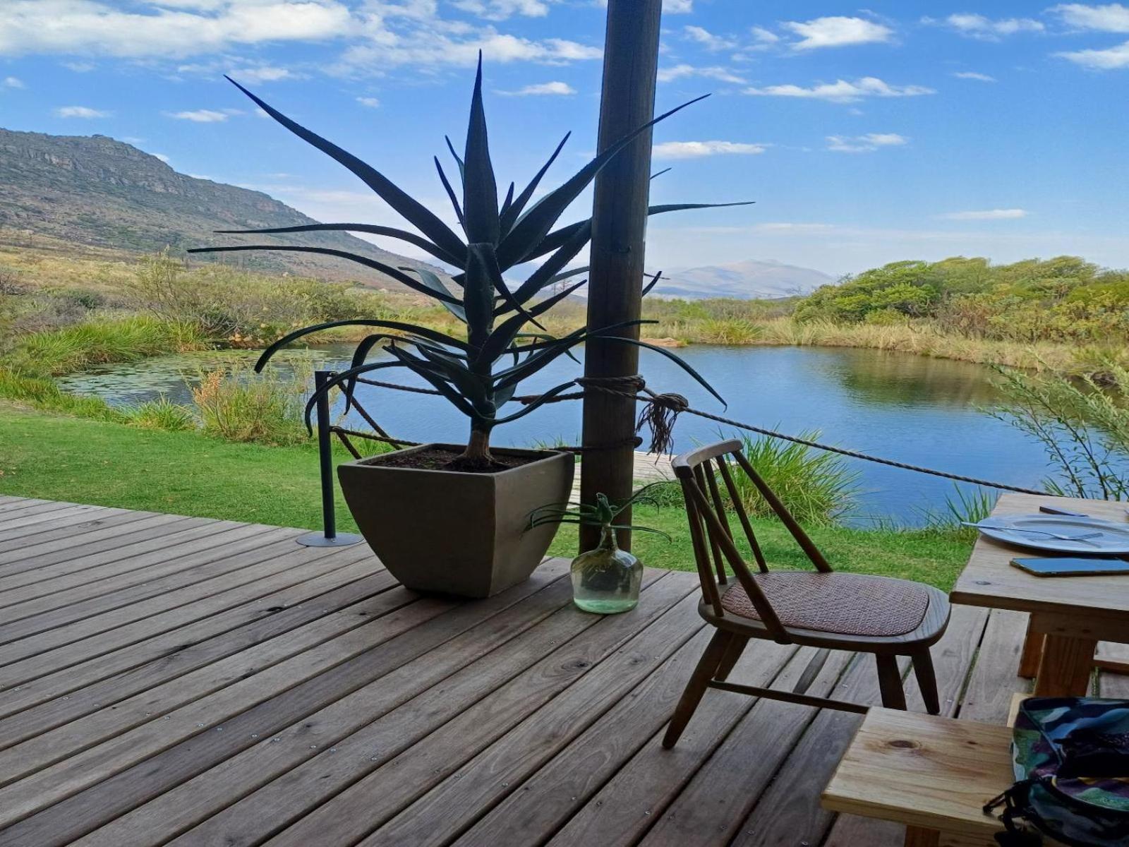 Leopard Valley Eco Retreat 시트러스달 객실 사진